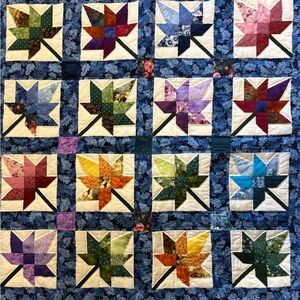 Colorful hand stitched  Quilt Wall hanging